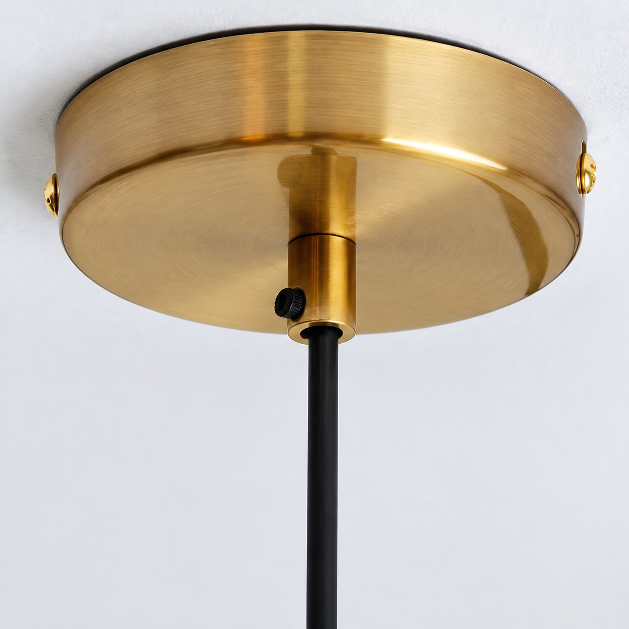 Brass ceiling plate and black hang